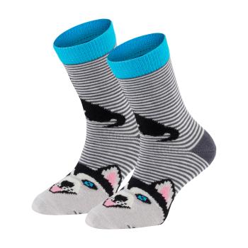 6 Paar TippTexx 24 Kinder Socken Lustige Hunde